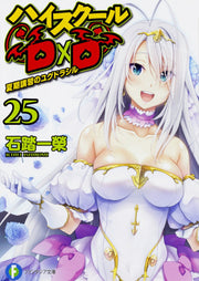 惡魔高校D×D 第25卷 (日文原版) | ハイスクールD×D 25