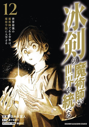 冰剣の魔術師が世界を統べる 12 (일본어 원서)