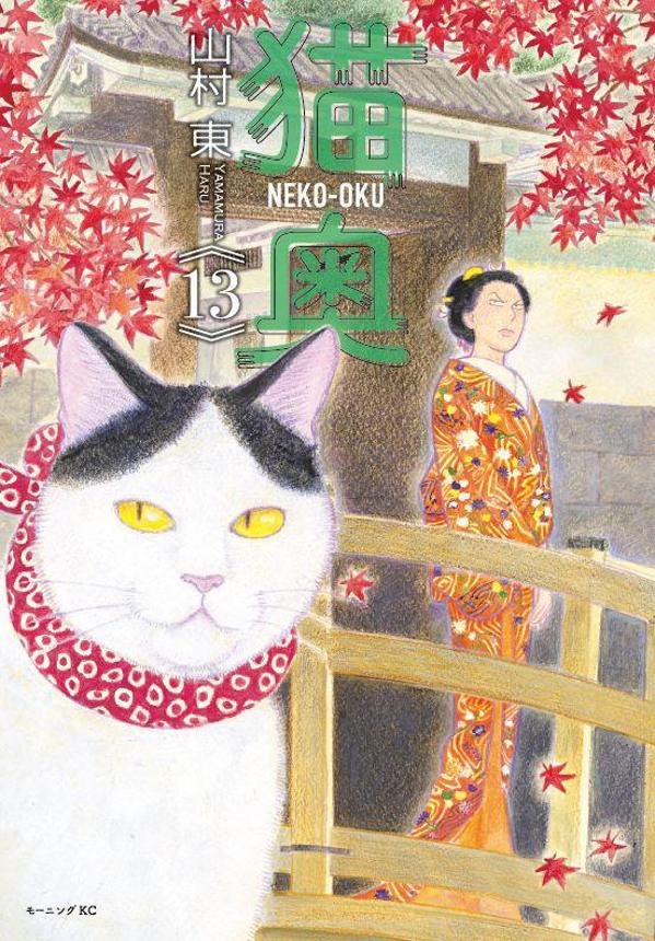 猫奥（13）