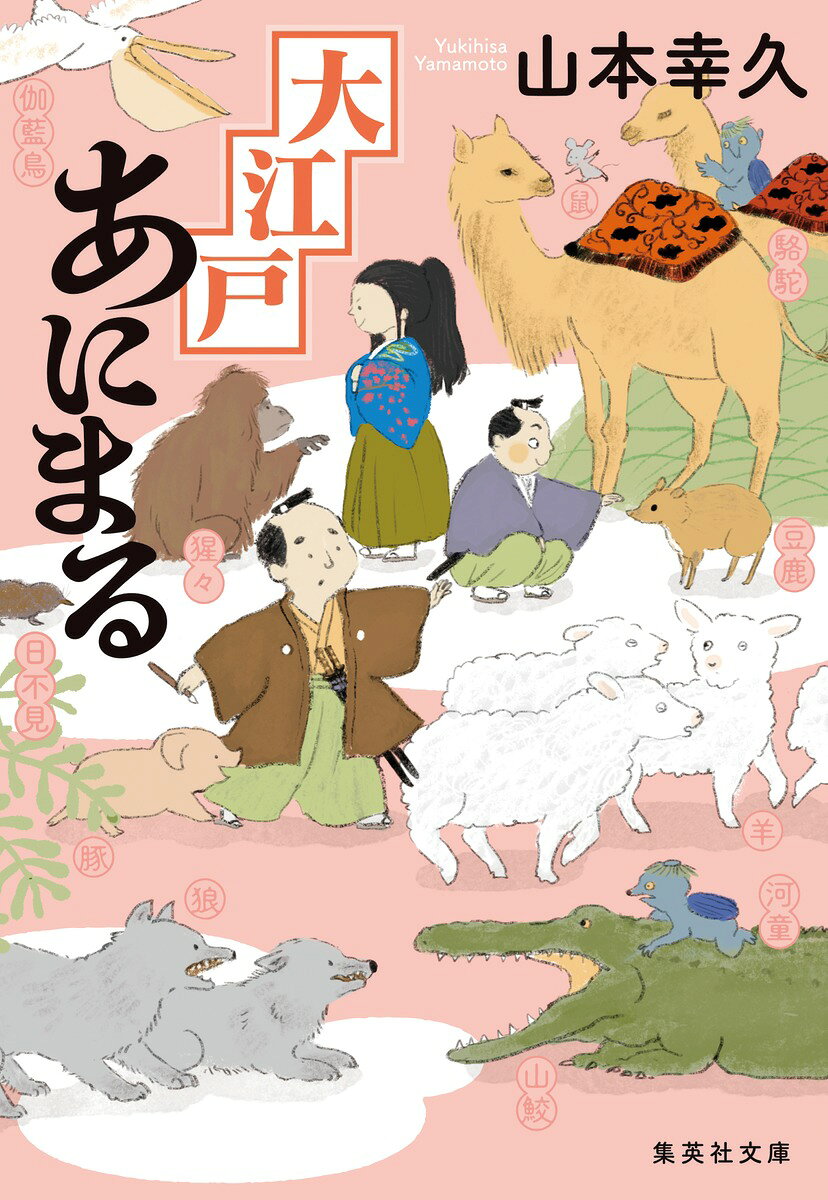 Ooedo Animaru – Saggio giapponese | 大江戸あにまる