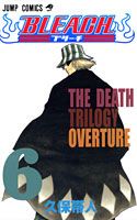 Bleach. 6 / Bleach .  6