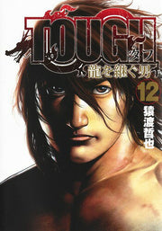 TOUGH龍を継ぐ男 12 (日文原版)