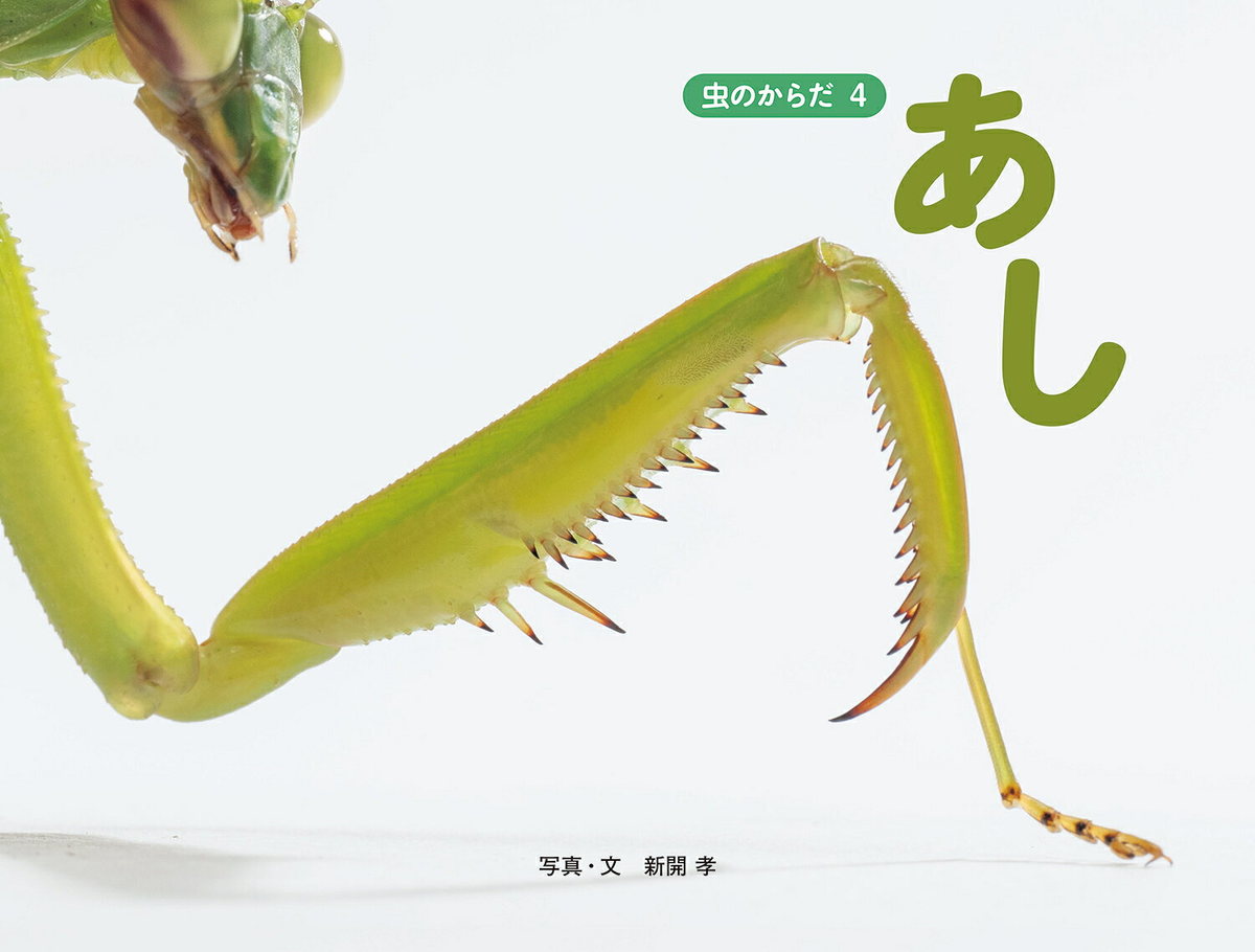 虫のからだ. 4