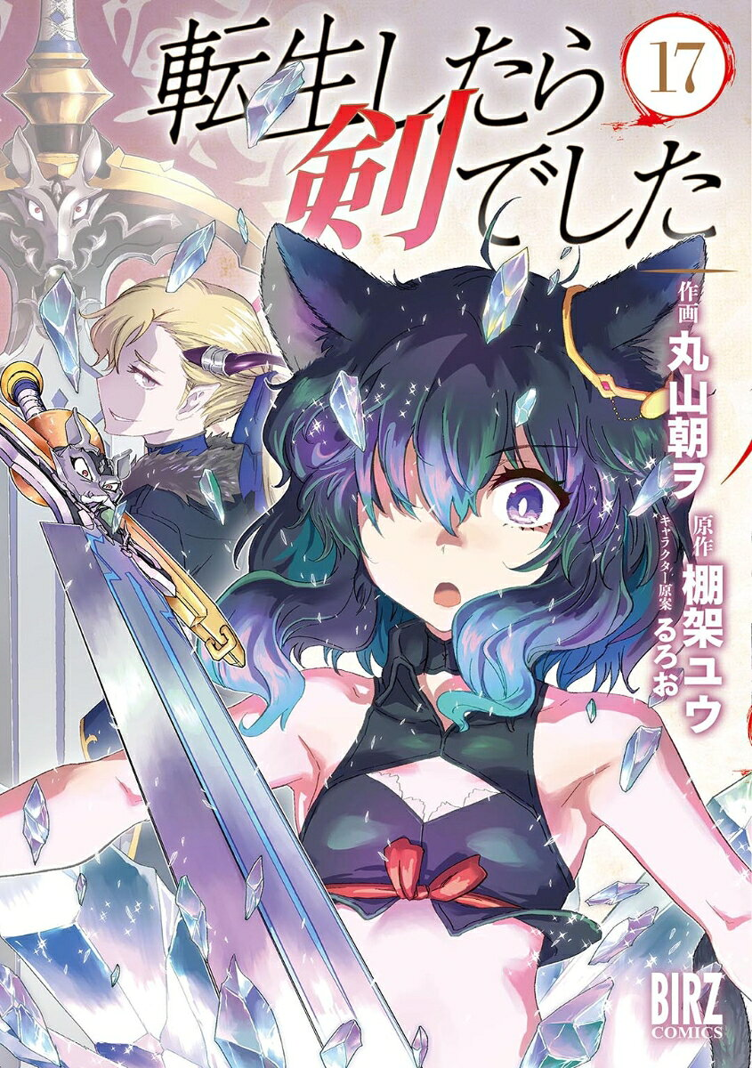 転生したら剣でした. 17