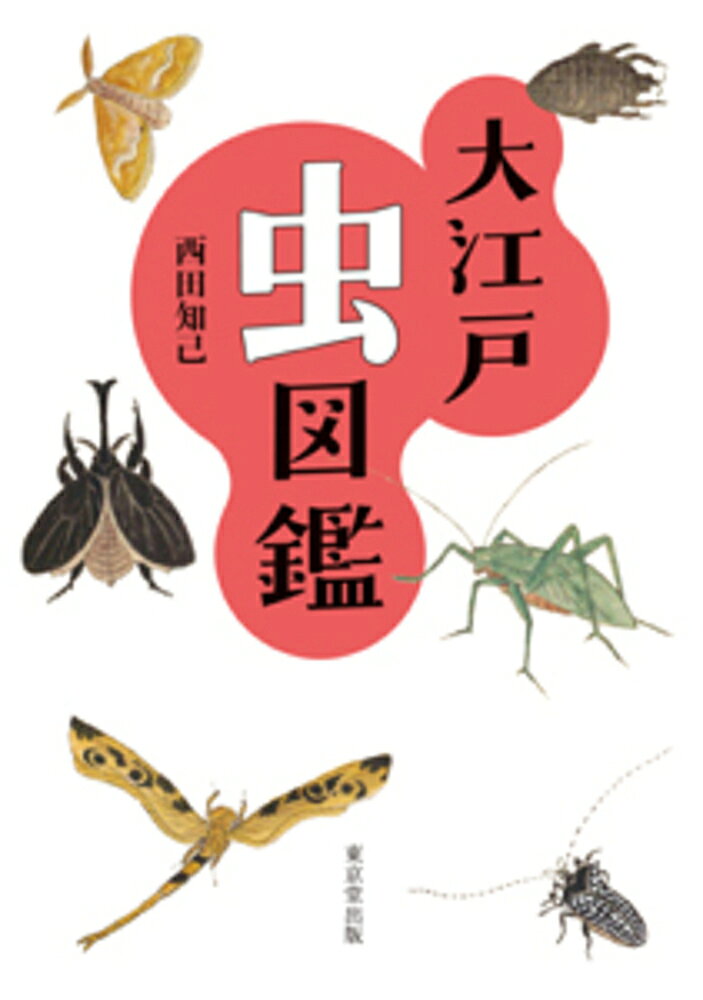 大江戸虫図鑑 / Ooedo Mushi Zukan