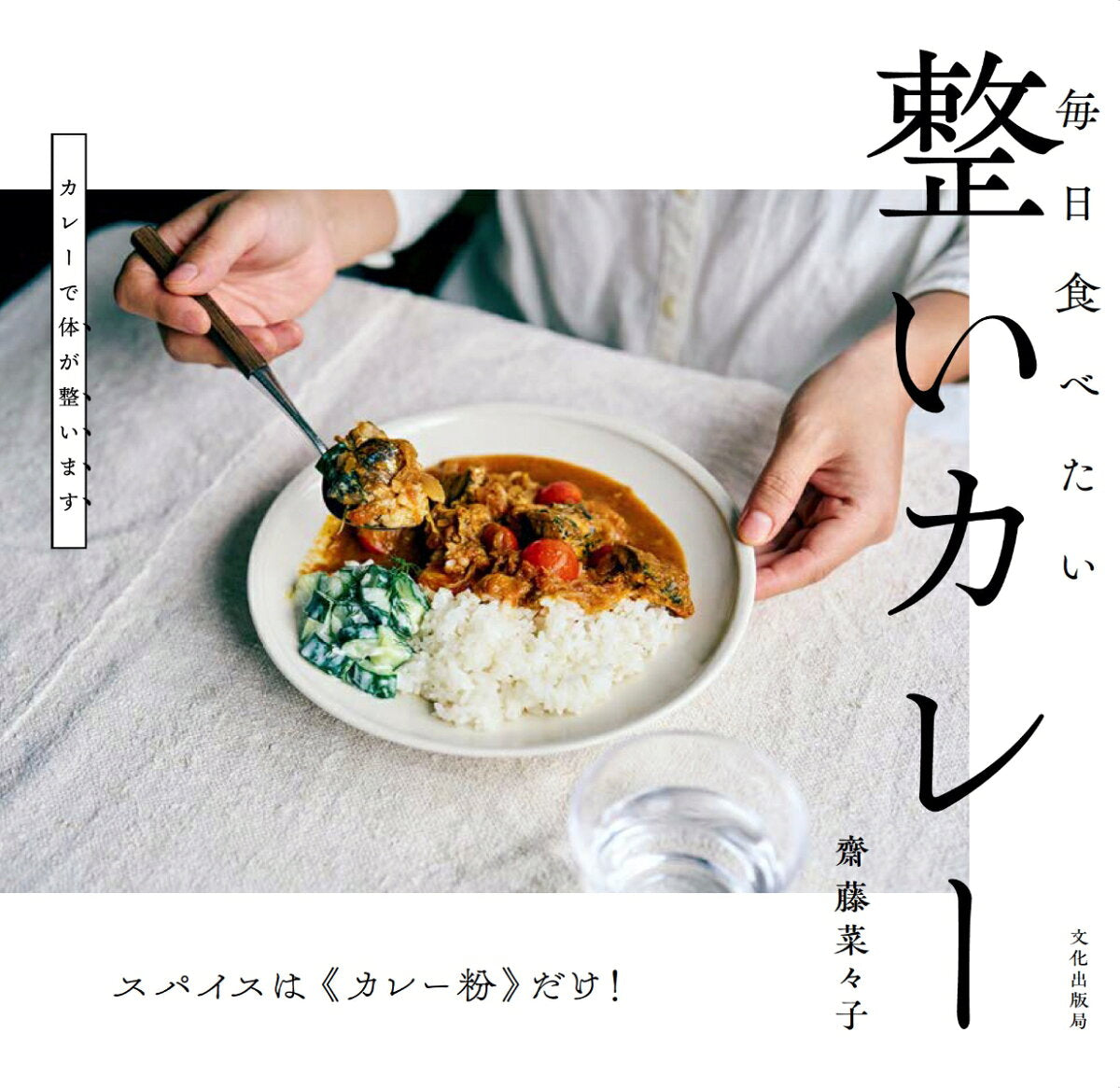Mainichi Tabeta I Totonoi Karee – Japanisches Buch | 毎日食べたい整いカレー