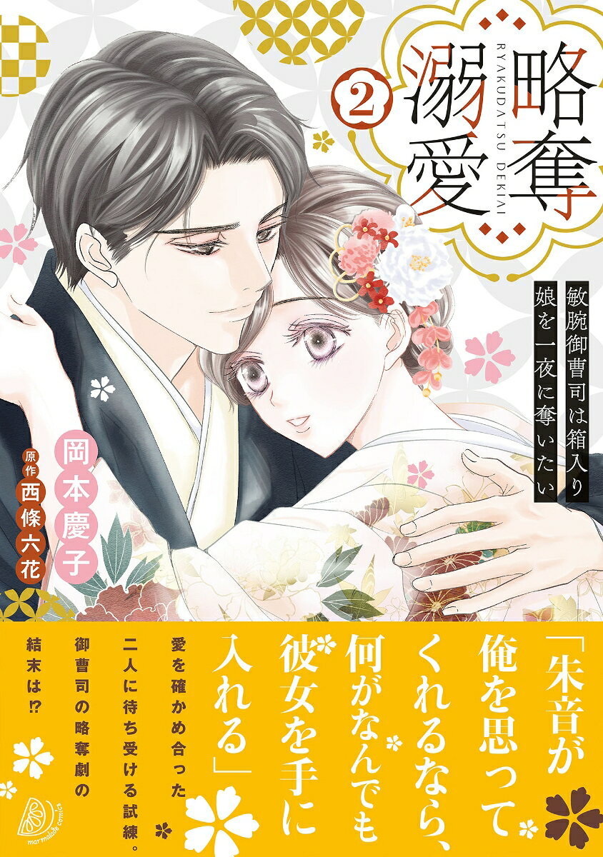 Ryakudatsu Dekiai Band 2 (japanische Ausgabe) | 略奪溺愛 2