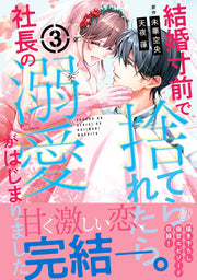 Kekkon Sunzen De Sute Raretara Shachou No Dekiai Gahajimarimashita เล่ม 3 (ฉบับภาษาญี่ปุ่น) | 結婚寸前で捨てられたら社長の溺愛がはじまりました 3