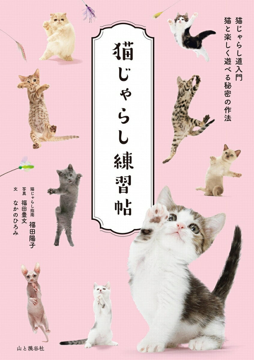 Neko Jarashi Renshuu Chou – Japanisches Buch | 猫じゃらし練習帖