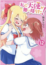 私に天使が舞い降りた! 12 / Watashi Ni Tenshi Ga Mai Ori Ta !  12