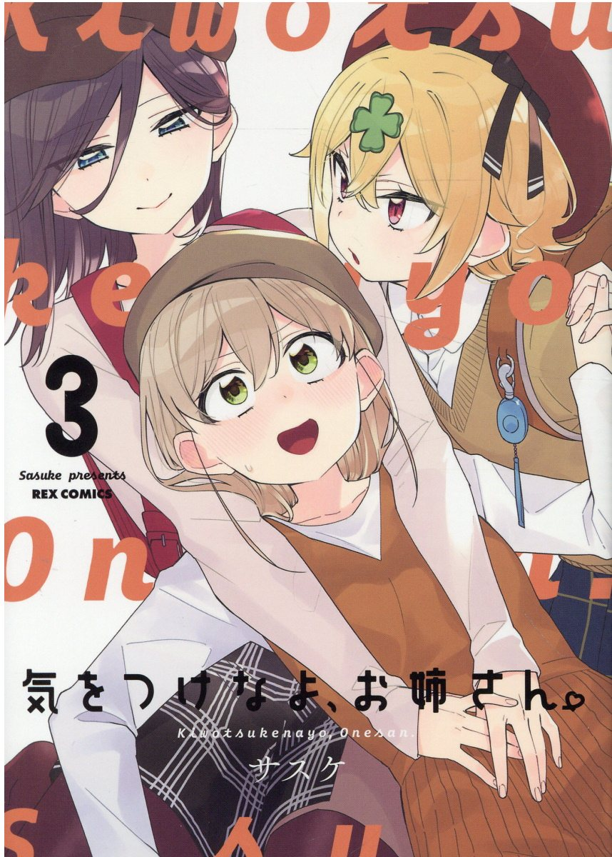 気をつけなよ、お姉さん。 3
