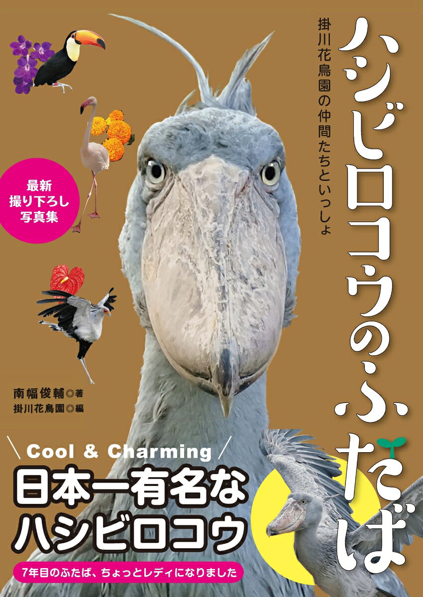ハシビロコウのふたば : 掛川花鳥園の仲間たちといっしょ / Hashibirokou Nofutaba Kakegawa Kachou Sono No Nakama Tachitoissho
