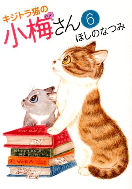 キジトラ猫の小梅さん 6