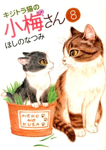 キジトラ猫の小梅さん 8