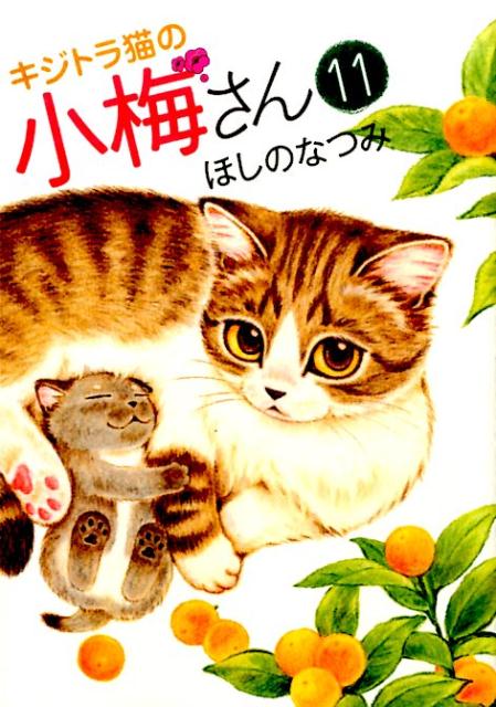 キジトラ猫の小梅さん 11