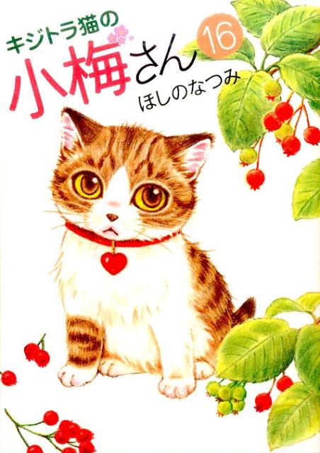 キジトラ猫の小梅さん 16