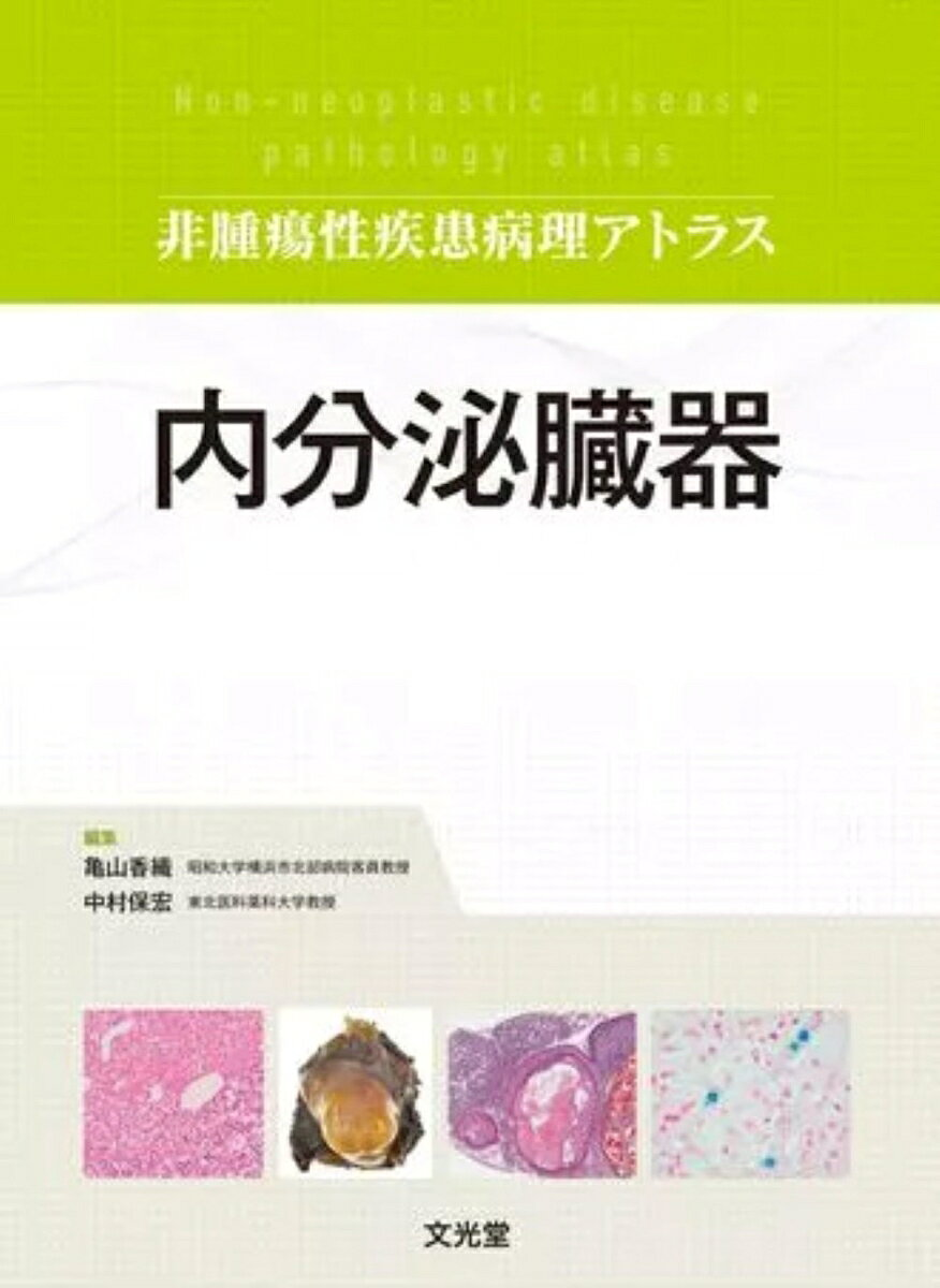 内分泌臓器