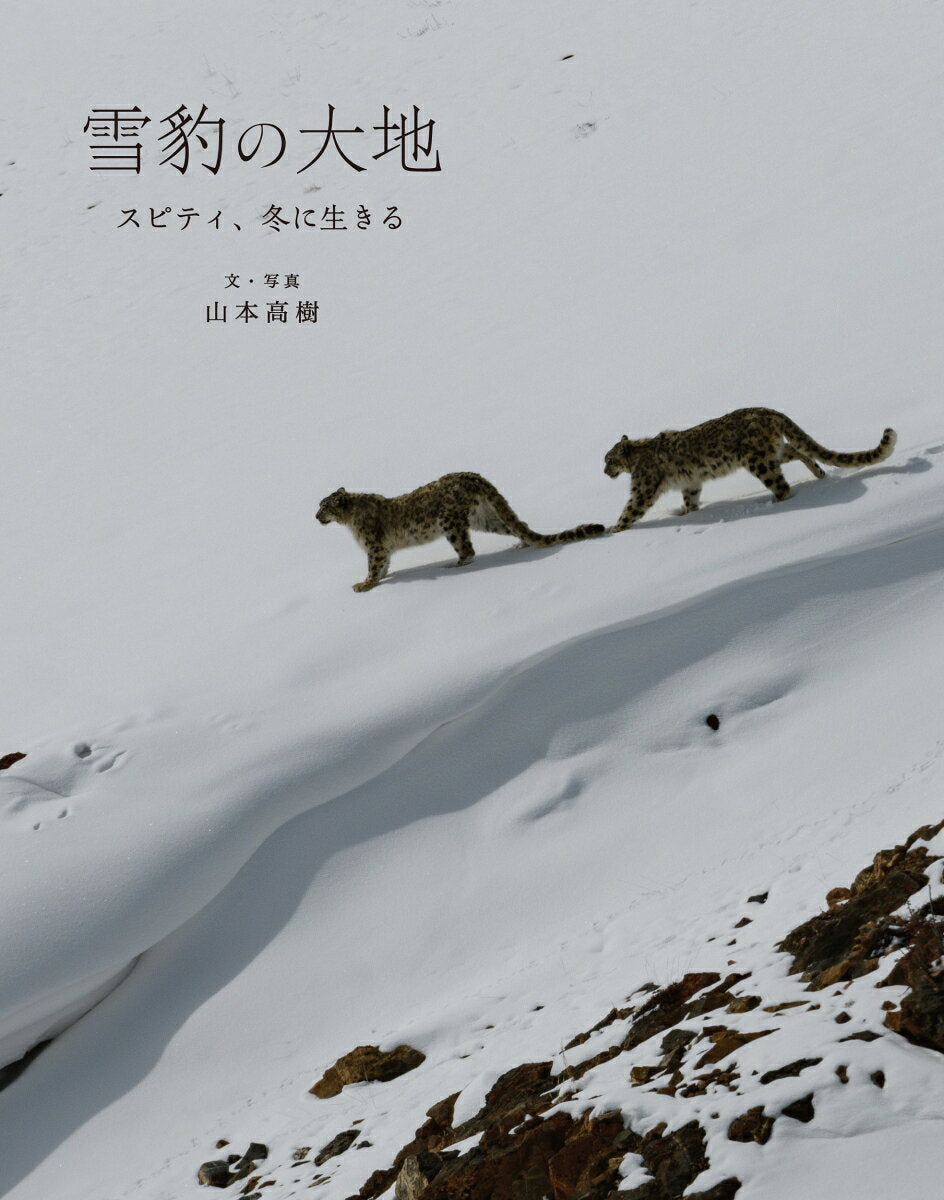 雪豹の大地 スピティ、冬に生きる