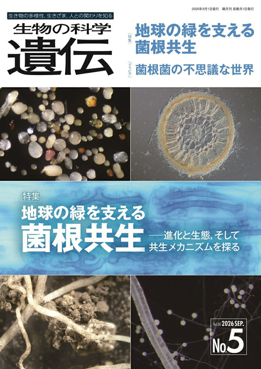 生物の科学　遺伝　2026年9月発行号（Vol.80‐No.5） : 地球の緑を支える菌根共生 ―進化と生態、そして共生メカニズムを探る