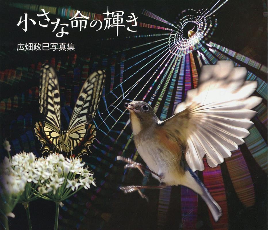小さな命の輝き（日文原版书）