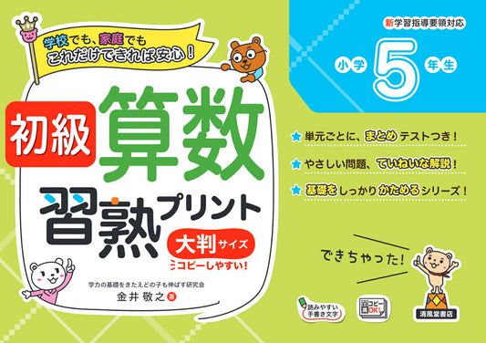 Shokyuu Sansuu Shuujuku Purinto Shougaku 5 Nensei – Livre japonais | 初級算数習熟プリント小学5年生