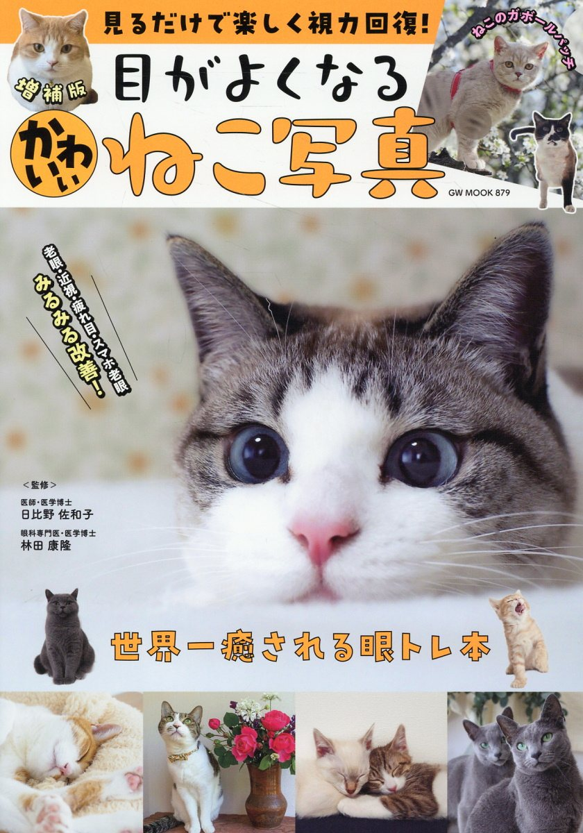 見るだけで楽しく視力回復!目がよくなるかわいいねこ写真