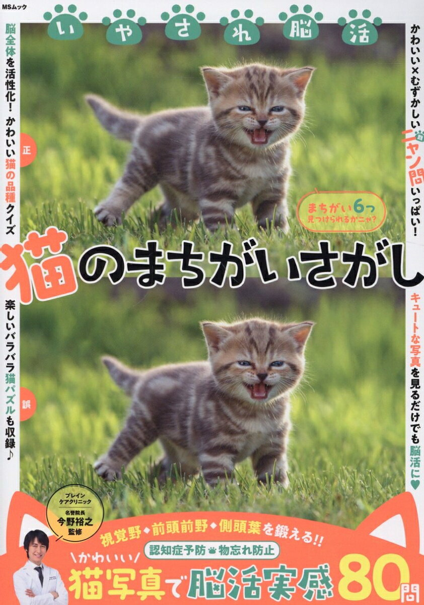 猫のまちがいさがし