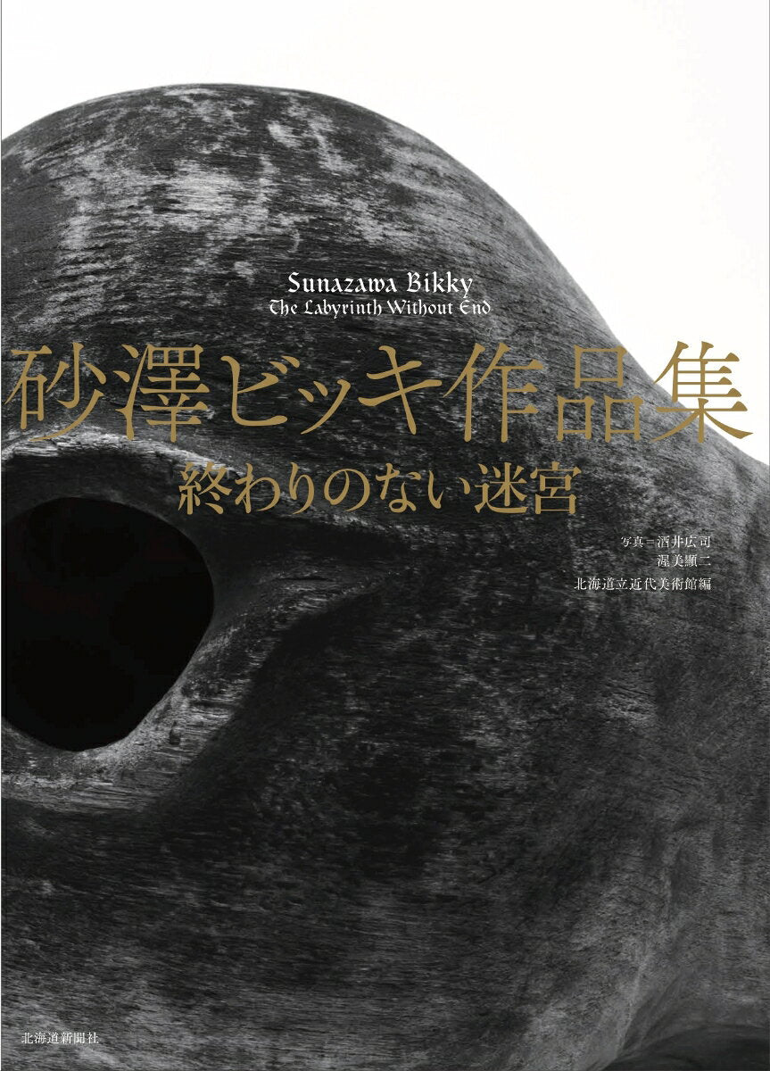 砂澤ビッキ作品集 = Sunazawa Bikky : 終わりのない迷宮 / Sunazawa Bikki Sakuhinshuu  = sunazawa bikky    Owari Nonai Meikyuu