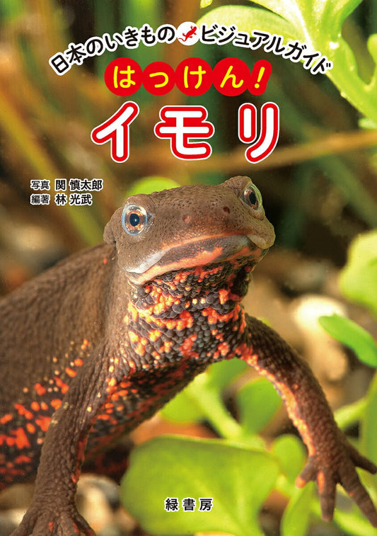 Hakken! Imori – Livre japonais | はっけん!イモリ